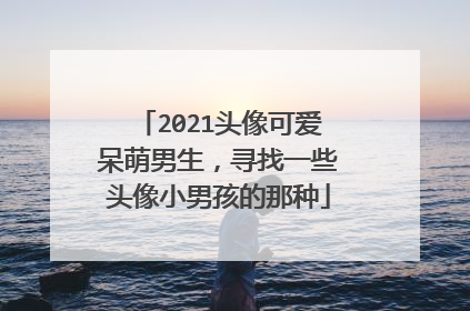 2021头像可爱呆萌男生,寻找一些头像小男孩的那种