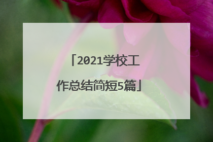 2021学校工作总结简短5篇