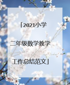 2021小学二年级数学教学工作总结范文