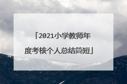 2021小学教师年度考核个人总结简短
