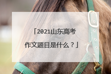 2021山东高考作文题目是什么?