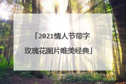 2021情人节带字玫瑰花图片唯美经典