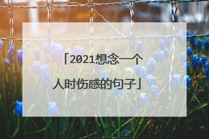 2021想念一个人时伤感的句子
