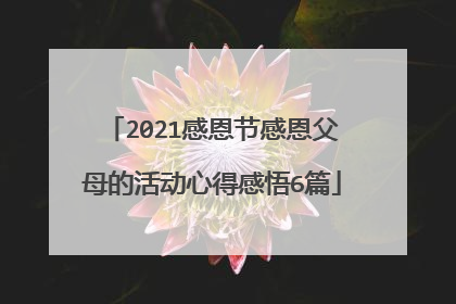 2021感恩节感恩父母的活动心得感悟6篇