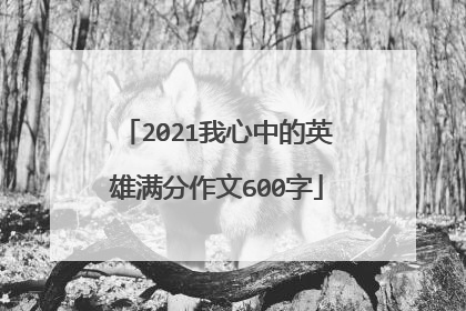 2021我心中的英雄满分作文600字