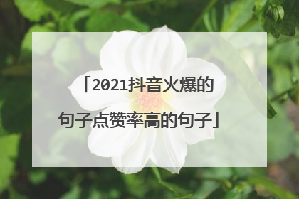 2021抖音火爆的句子点赞率高的句子