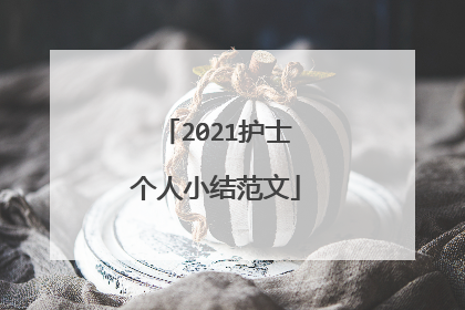 2021护士个人小结范文