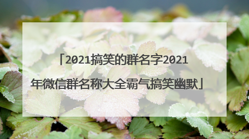 2021搞笑的群名字2021年微信群名称大全霸气搞笑幽默