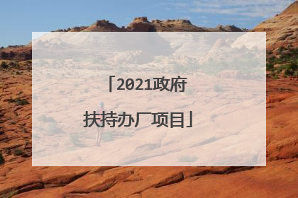 2021政府扶持办厂项目