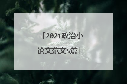 2021政治小论文范文5篇
