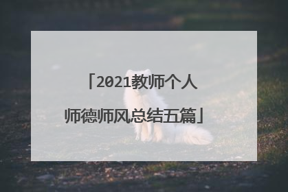2021教师个人师德师风总结五篇