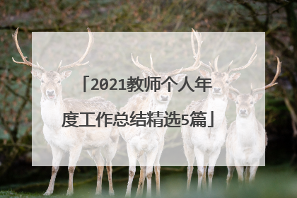 2021教师个人年度工作总结精选5篇