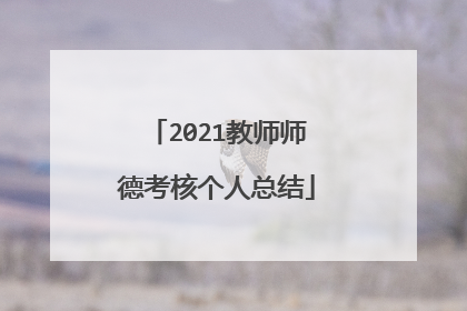 2021教师师德考核个人总结