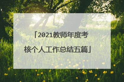 2021教师年度考核个人工作总结五篇