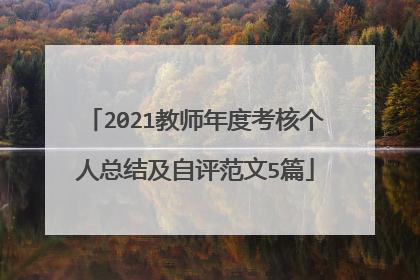 2021教师年度考核个人总结及自评范文5篇