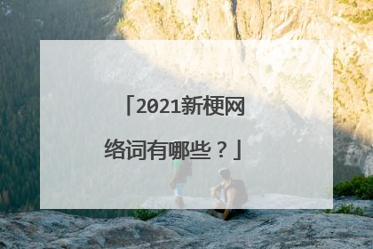 2021新梗网络词有哪些？