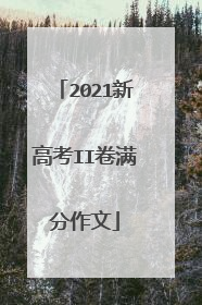 2021新高考II卷满分作文