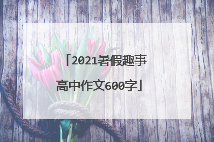 2021暑假趣事高中作文600字