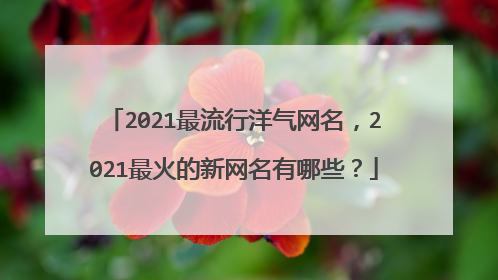 2021最流行洋气网名，2021最火的新网名有哪些？
