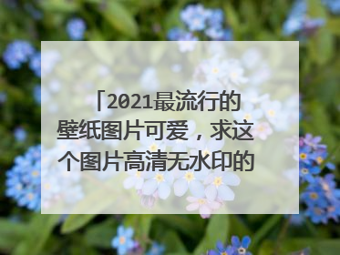 2021最流行的壁纸图片可爱，求这个图片高清无水印的要做手机壁纸？