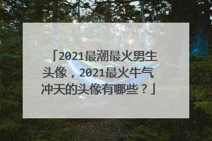 2021最潮最火男生头像，2021最火牛气冲天的头像有哪些？