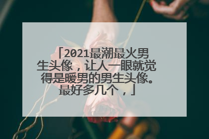 2021最潮最火男生头像,让人一眼就觉得是暖男的男生头像。最好多几个,
