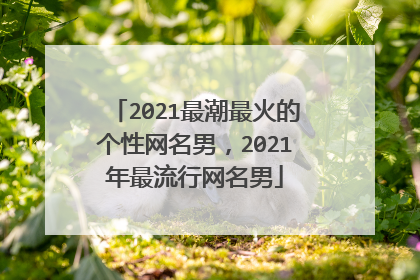 2021最潮最火的个性网名男,2021年最流行网名男