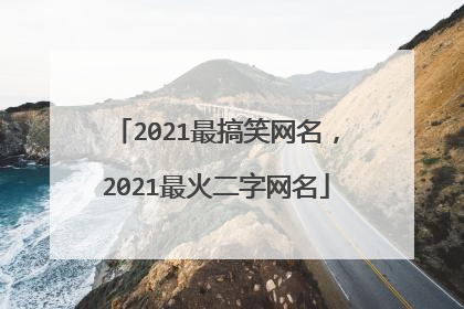 2021最搞笑网名,2021最火二字网名