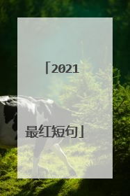 2021最红短句
