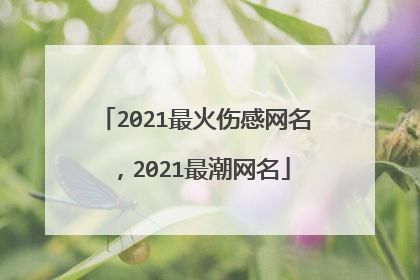 2021最火伤感网名,2021最潮网名