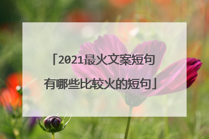 2021最火文案短句 有哪些比较火的短句