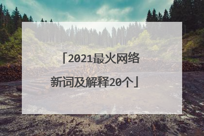 2021最火网络新词及解释20个