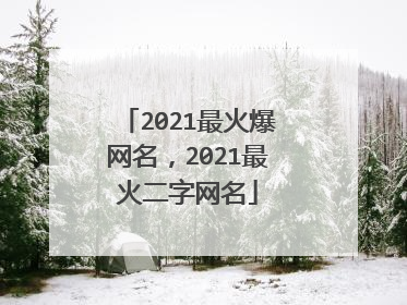 2021最火爆网名,2021最火二字网名