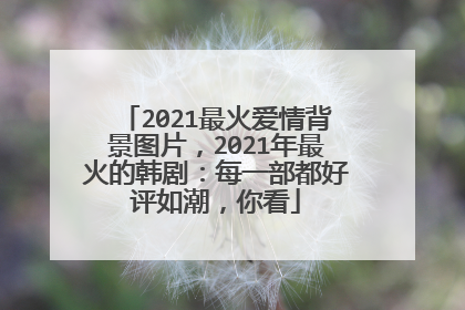 2021最火爱情背景图片，2021年最火的韩剧：每一部都好评如潮，你看