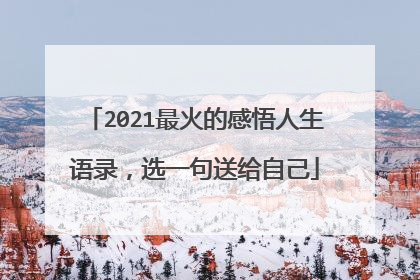 2021最火的感悟人生语录,选一句送给自己
