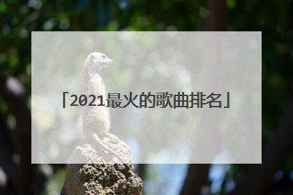 2021最火的歌曲排名