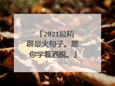 2021最精辟最火句子。愿你学着洒脱。