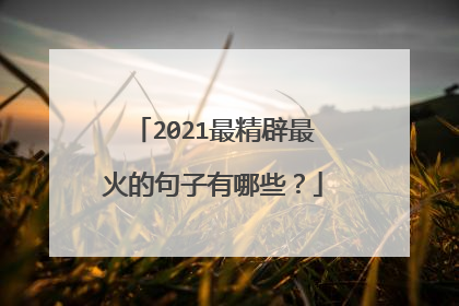 2021最精辟最火的句子有哪些？