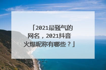 2021最骚气的网名,2021抖音火爆昵称有哪些?