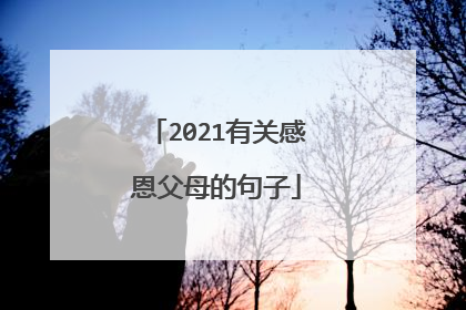2021有关感恩父母的句子