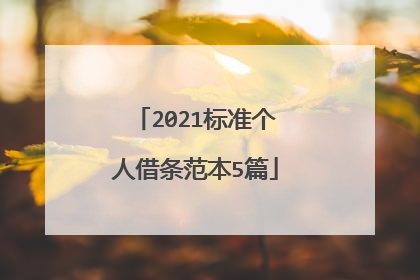 2021标准个人借条范本5篇