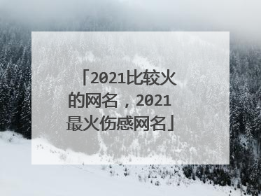 2021比较火的网名,2021最火伤感网名