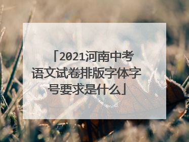 2021河南中考语文试卷排版字体字号要求是什么