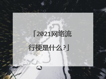 2021网络流行梗是什么?