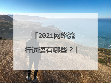 2021网络流行词语有哪些？