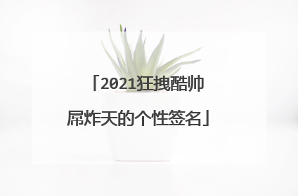 2021狂拽酷帅屌炸天的个性签名