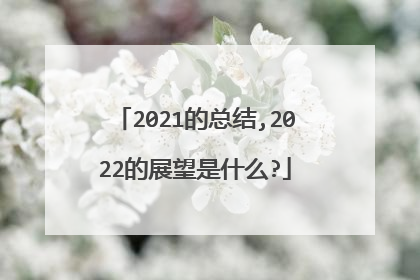 2021的总结,2022的展望是什么?