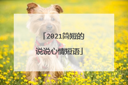 2021简短的说说心情短语