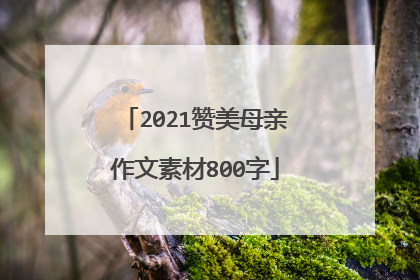 2021赞美母亲作文素材800字