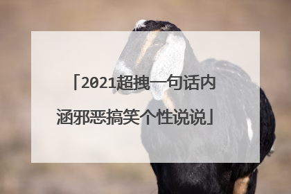 2021超拽一句话内涵邪恶搞笑个性说说